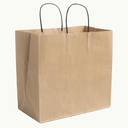 Kraft Bags with Black Twisted Handles - Ecoware