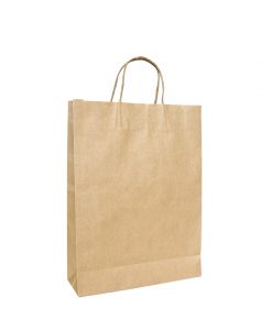 Twisted Handle Paper Bags Medium (260+120) x 360