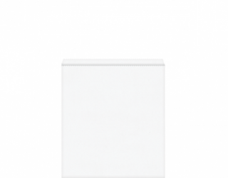 White Paper Bags #8 Flat 255x360 - Castaway